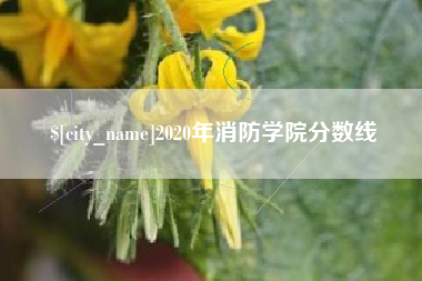 克拉玛依2020年消防学院分数线