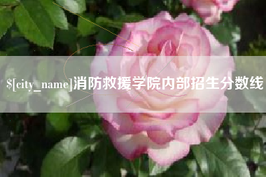 克拉玛依消防救援学院内部招生分数线