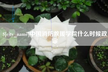 克拉玛依中国消防救援学院什么时候政审