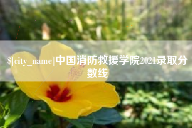克拉玛依中国消防救援学院2021录取分数线