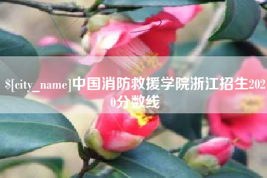 克拉玛依中国消防救援学院浙江招生2020分数线