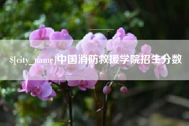 克拉玛依中国消防救援学院招生分数